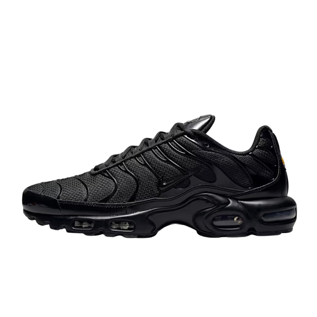 Nike Air Max Plus TN “Black“