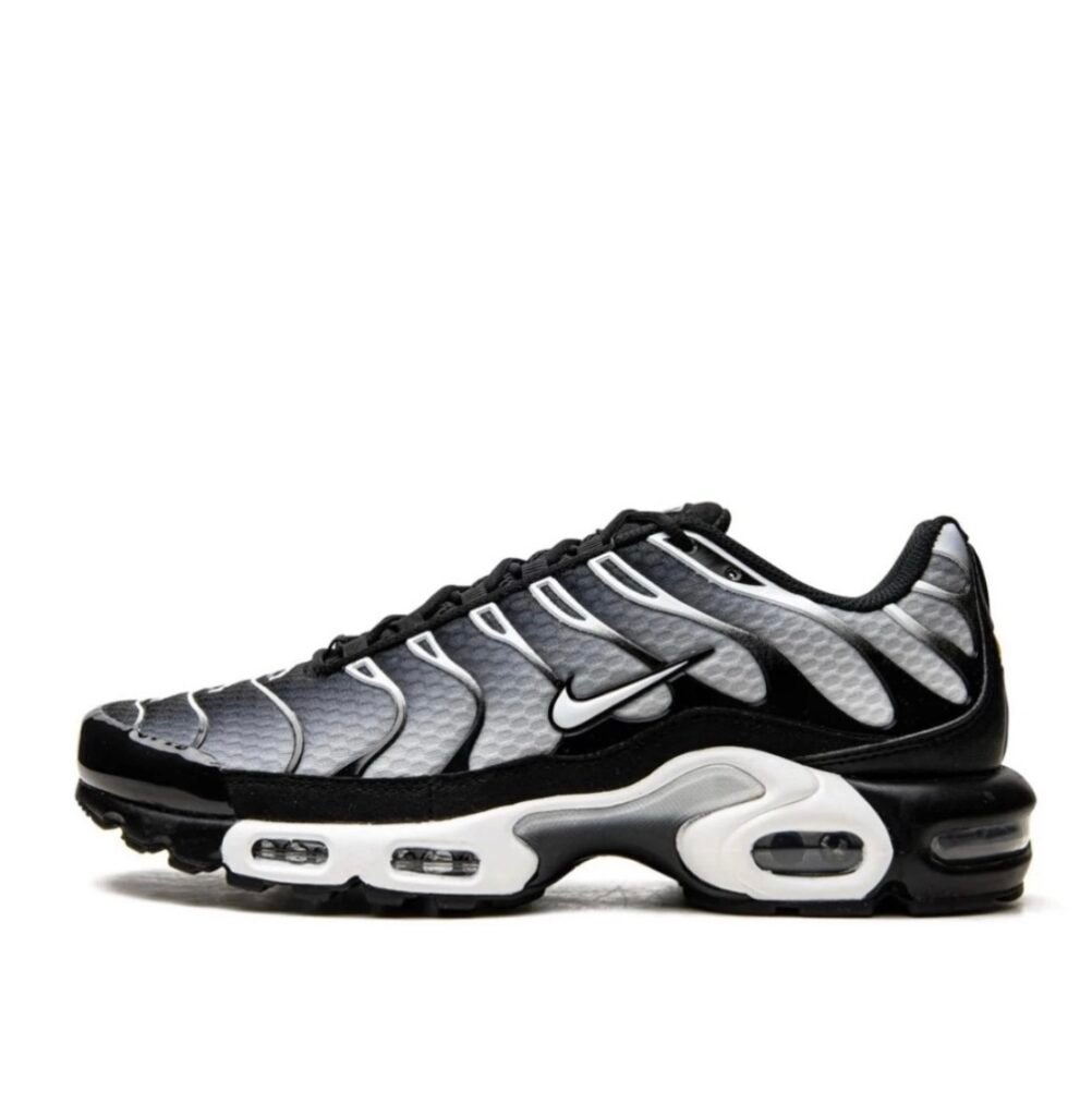 Nike Air Max Plus TN “Black/Smoke Grey “